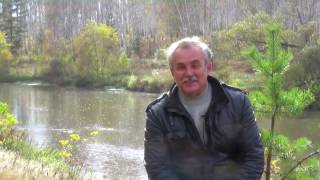 Стих А. Дементьева, читает Вафин Владимир Александрович.