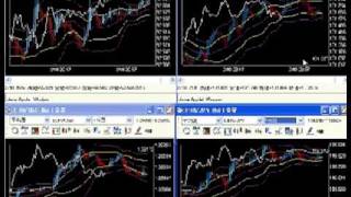 超スキャルピング【ボリ平ドラゴン式】通貨の選び方