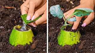 Cool Gardening hacks for Plant lovers