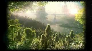 Struchni - Your Resting Place