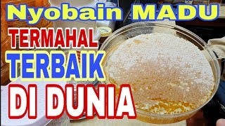 PUSATNYA MADU DI JEDDAH