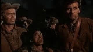 DAVY CROCKETT KING OF THE WILD FRONTIER