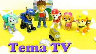 ЩЕНЯЧИЙ ПАТРУЛЬ ловим рыбу открываем сюрпризы PAW PATROL