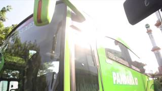 PO PANDAWA 87 | Bus Pariwisata | Shuttle Bus