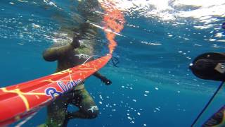 blue tec oceanborn 125 vs baracuda
