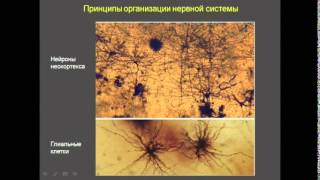 122 Сергей Савельев Интервью 26 08 2014. Полная 3-х часовая версия.