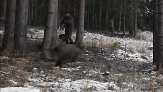 WILD Jaeger Czech Republic Drive Hunt (Drückjagd) 1