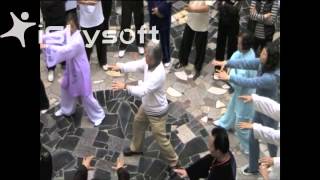Yang Style Tai Chi - Fu Sheng Yuan - Grasp the Peacocks Tail Corrections