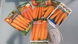 Посадка моркови в грядку. Два способа посадки.