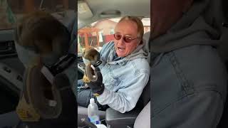 Never Use This in Your Car