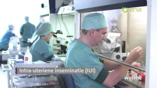 ZNA Fertiliteitscentrum intra-uteriene inseminatie