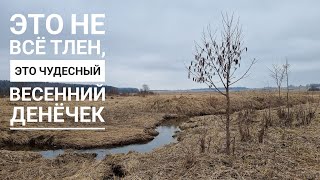 Угодья бобров после половодья. Отвела маму в дальнюю даль показать красивое и как я могу