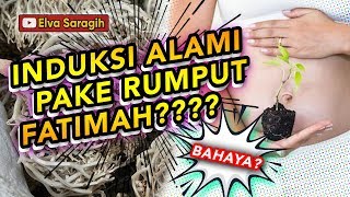 SEX SAAT HAMIL BOLEH KAH ??? + APA SAJA INDUKSI ALAMI ???