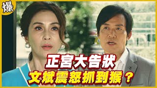 《黃金爆爆爆》黃金歲月 EP276 正宮大告狀 文斌震怒抓到猴？