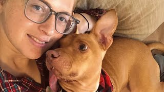 Bud's the world's happiest dog. He's missing half of his jaw.