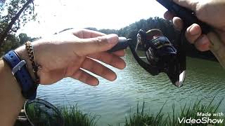 TERZA PARTE AUGUST SUMMER FEEDER CARP LAKE GRANIERI