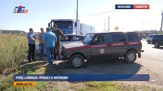 Рейд «СвиньЯ» прошел в Мотякове