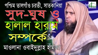 সুদ-ঘুষ ও হালাল হারাম । মাওলানা ওবাইদুল্লাহ হামজা।Mawlana Obaidullah Hamza । Bangla Waz 2020