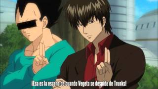 Gintama: Hijikata Vegeta