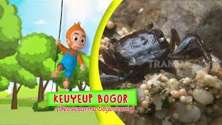 SI OTAN | ANEKA RIA KELUARGA CRUSTACEA (18/06/18) 3-3