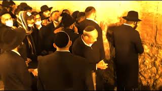 Proyecto Mesías: Anuncian nuevo Mesías en Jerusalen