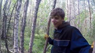 Коп Металла. 900 кг. за день # AR 944 M...
