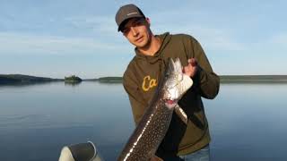 Walleye fishing on Lac Seul, Maukwa Lodge Ontario Canada 2019