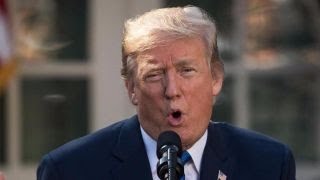 Trump pushes for border wall, travel ban after Egypt attack
