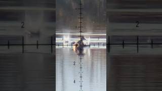 Skimming Slugs on the Water (contains hunting????) #hunting #airguns
