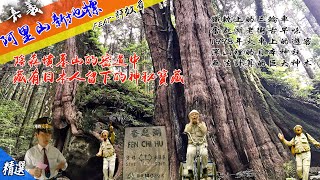 【嘉義阿里山新地標】千年神木重現  陰森墳墓山的密道中傳說藏有日本人留下神秘寶藏