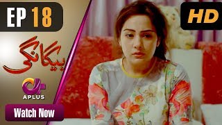 Drama | Begangi - Episode 18 | Aplus ᴴᴰ Dramas | Nausheen Ahmed, Shehroz Sabzwari, Asif Raza Mir