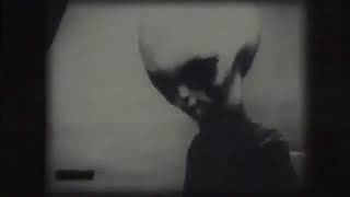 Настоящий живой инопланетянин из США зона 51