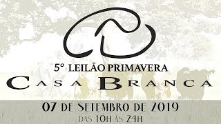 Lote 302 (PWM Ayla 2564 Abigale - TEICB 2564)