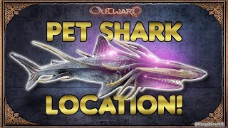 Pet Crescent Shark Location! - Outward Tips and Tricks