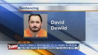 David DeWild sentenced to 12 years in prison
