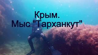 Дайвинг на мысе Тарханкут