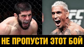 Бой Махачев - Оливера на UFC 280 / Пояс должен вернуться в Дагестан! План Абдулманапа Нурмагомедова