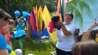 Курочка на праздник - 8 965 380-13-11
