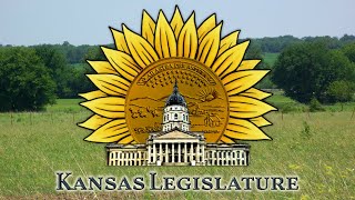Senate Session Live HD - 2/4/2020