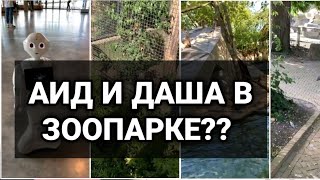 АИД И ДАША В ЗООПАРКЕ? СТОРИС АИДА И ДАШИ