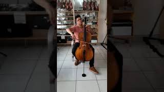 Violoncelo Autor Anderson Rodrigues-Oliveira Musical