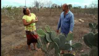 De Agriculto(a)r para Agricultor(a): O Caminho das Águas