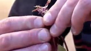 Учебный фильм для начинающих Аквариумистов от Tetra