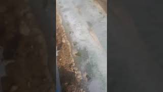 Междурядная культивация