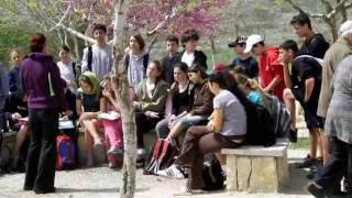 Yiddish Song. Lomir ale Ineynem. Давайте все вместе. Let us all together.
