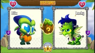 NEW BREEDING: Goblin Dragon & Frankie Dragon | DRAGON CITY ?