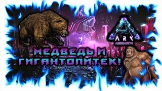 ПРИРУЧЕНИЕ МЕДВЕДЯ И ГИГАНТОПИТЕКА НА АБЕРЕЙШЕНЕ!