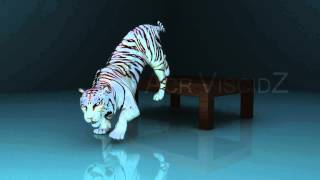 White Tiger Animation By Akhil Chandran. R