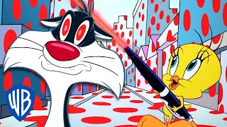 Looney Tunes auf Deutsch ???????? | Tweetys Laserpointer | WB Kids