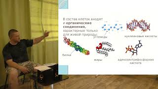 Обмен веществ и энергии | Алексей Сивухин